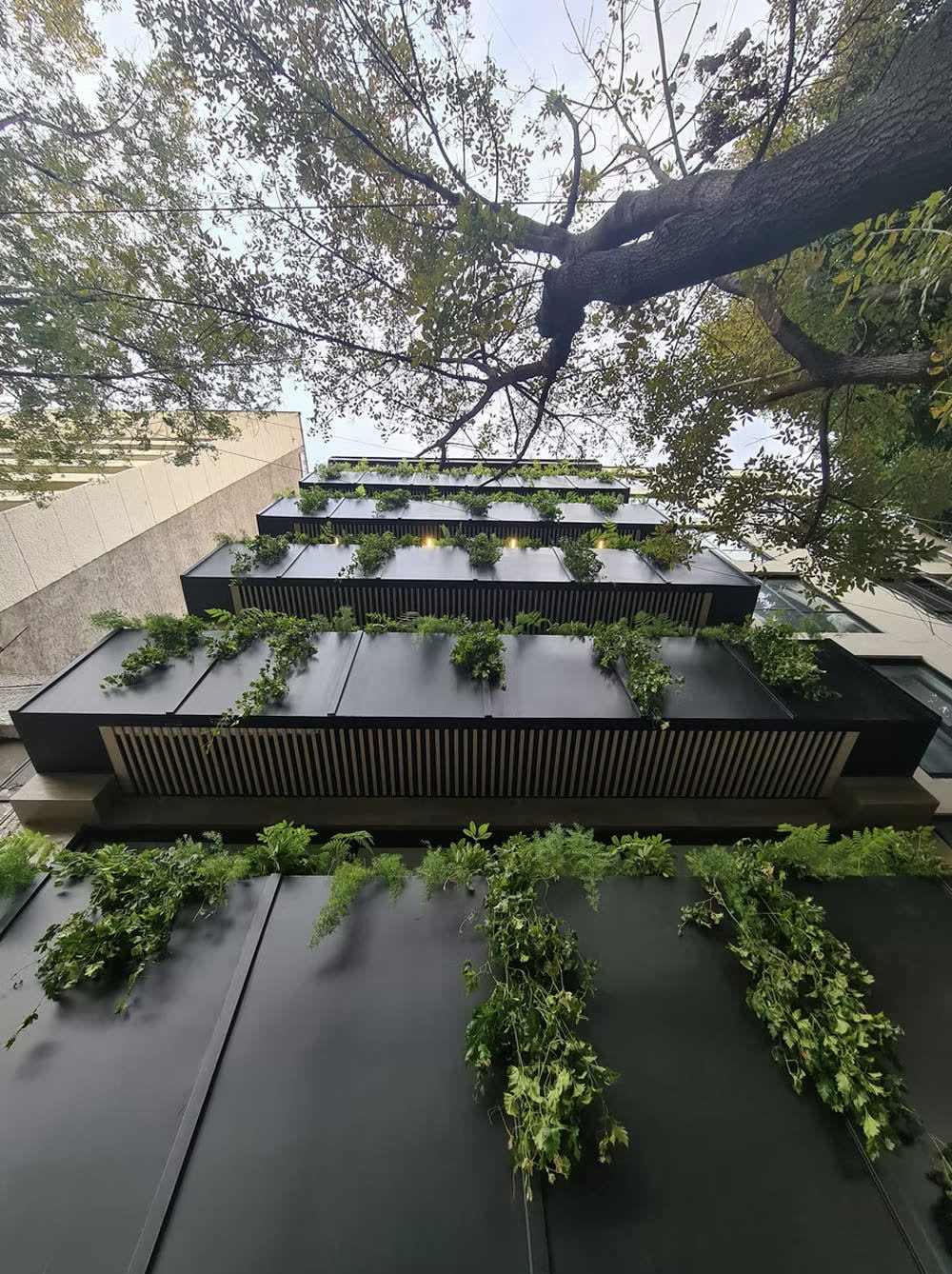 Sinaloa — fachada con terrazas verdes
